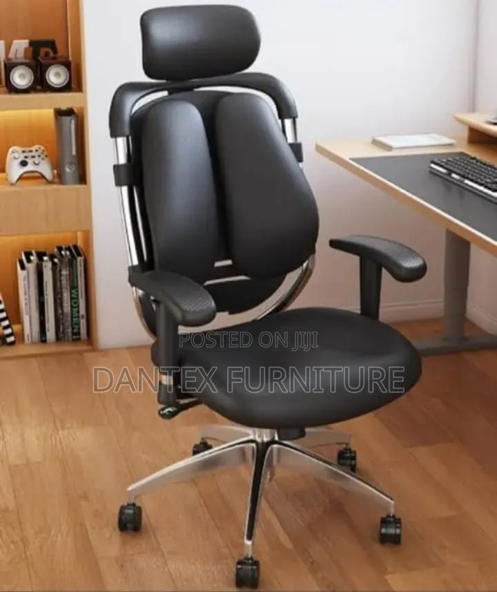 Executive Office Chair With Adjustable Lumbar Support and Headrest