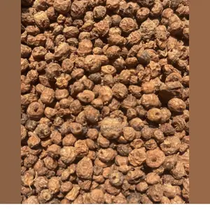 Tigernut Seed