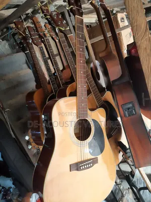 Fender Curved Semi Acoustic Guitar