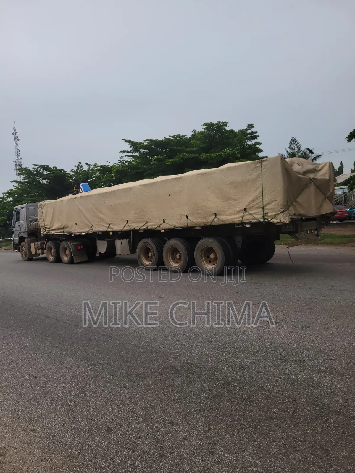 Dangote and Bua Cement