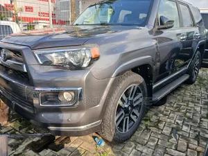 Toyota 4-Runner 2013 Gray