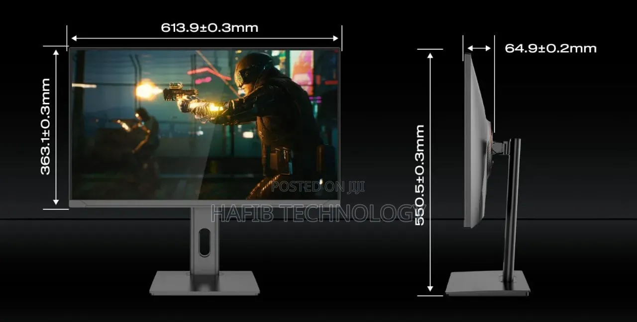 Cheap Gaming Monitor