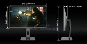 Cheap Gaming Monitor
