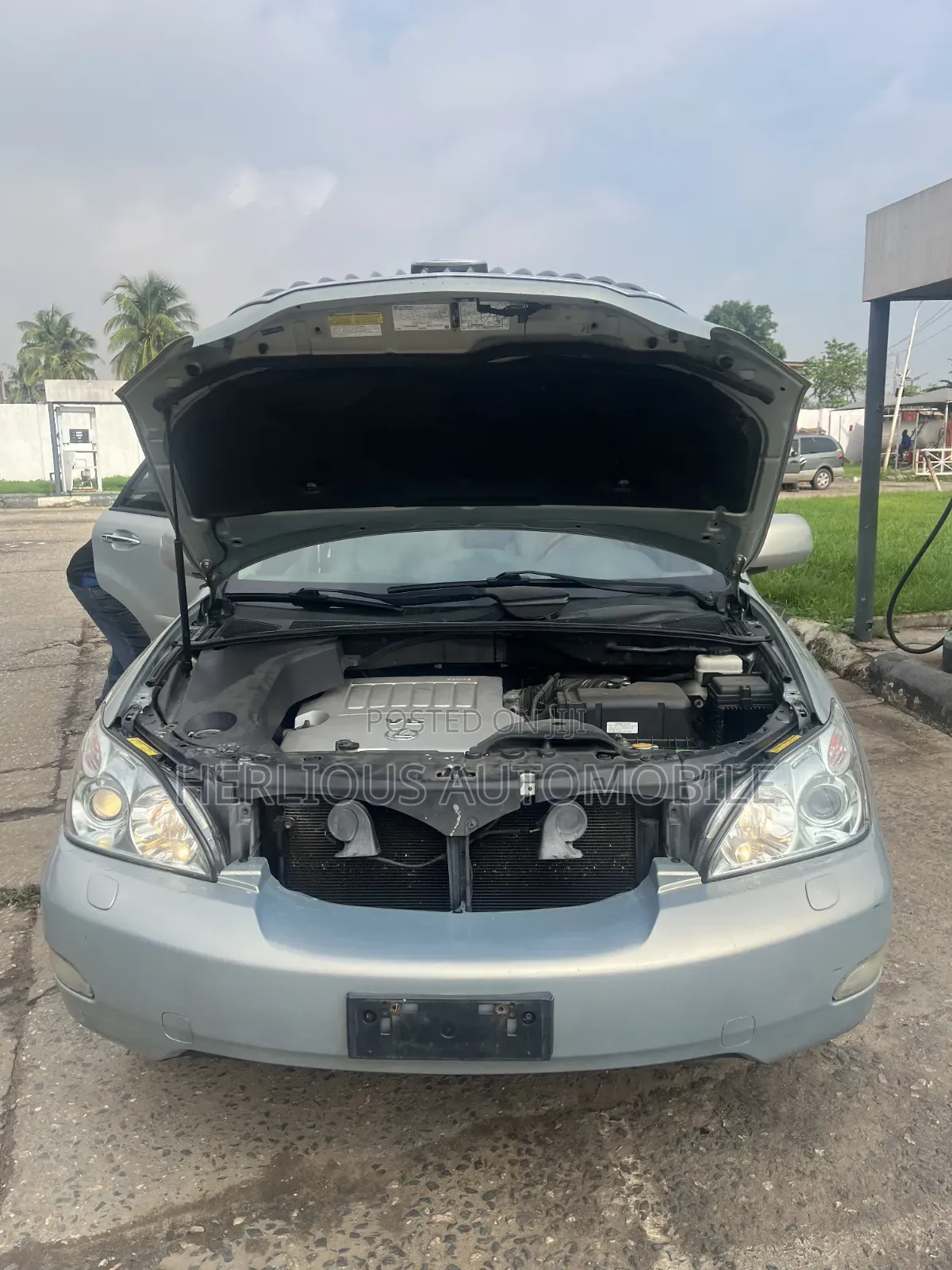 Lexus RX 2008 Green