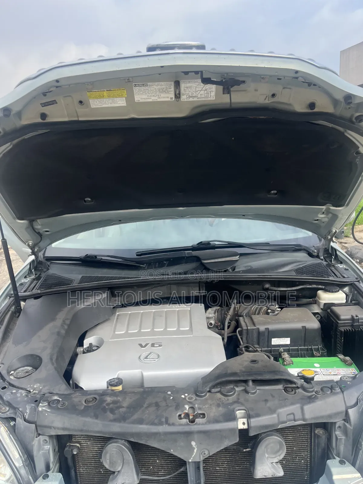 Lexus RX 2008 Green