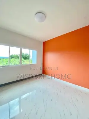 Perfect Painting and Screeding /Wallpaper Installation