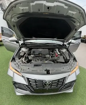 Toyota Avalon 2024 Gray