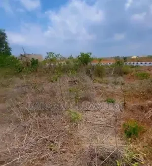 Plots Of Land Available At Chicago Parks And Gardens (Adron Homes)