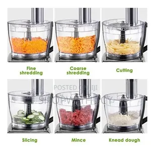 Umtricmaster All in One Food Processor With Juice Extractor