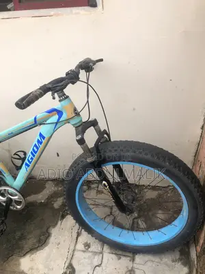 Bicycle (Mountain Bicycle )