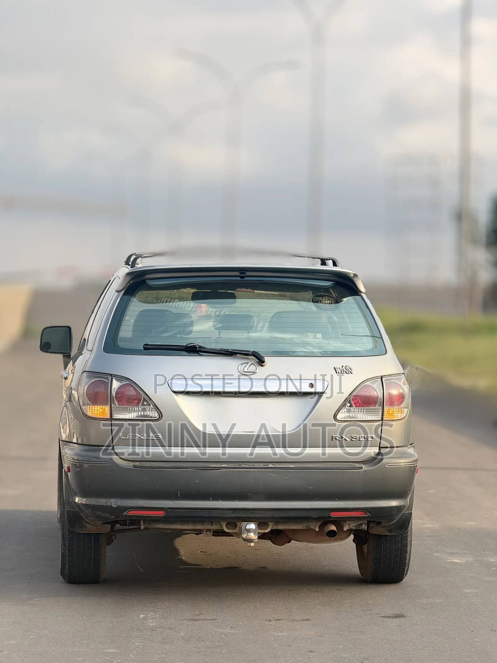 Lexus RX 2002 Gray