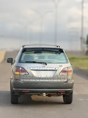 Lexus RX 2002 Gray