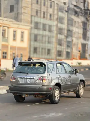 Lexus RX 2002 Gray