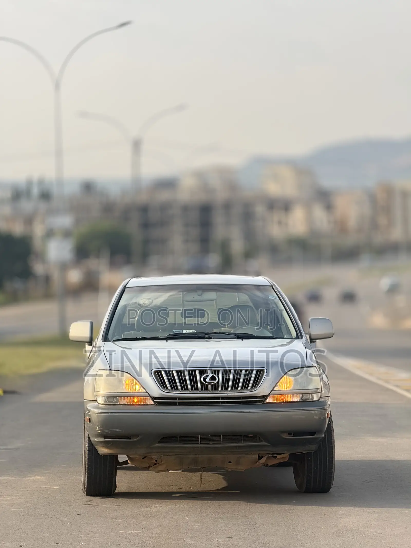 Lexus RX 2002 Gray