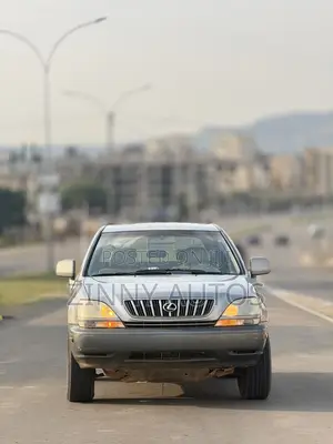 Lexus RX 2002 Gray