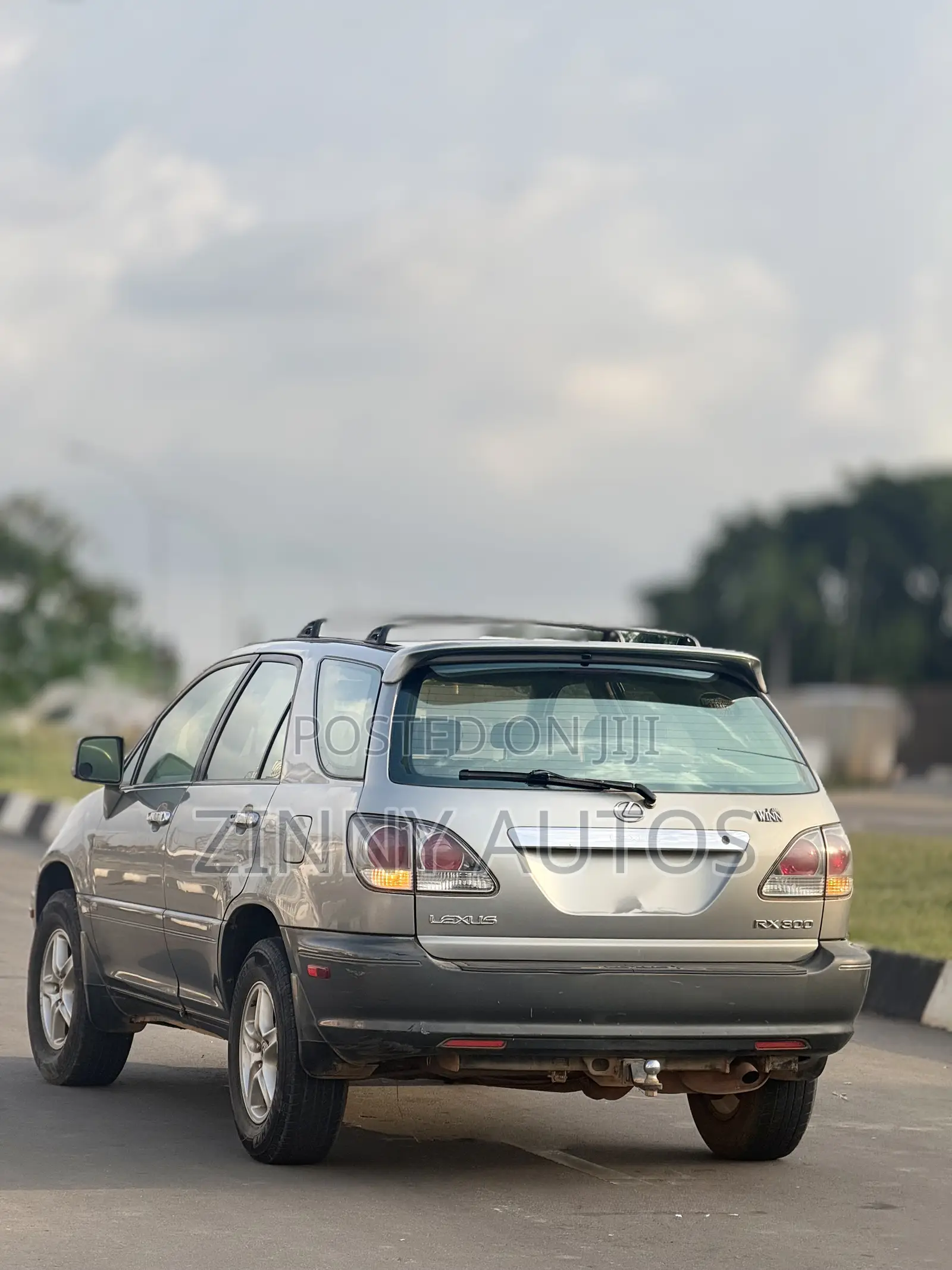 Lexus RX 2002 Gray