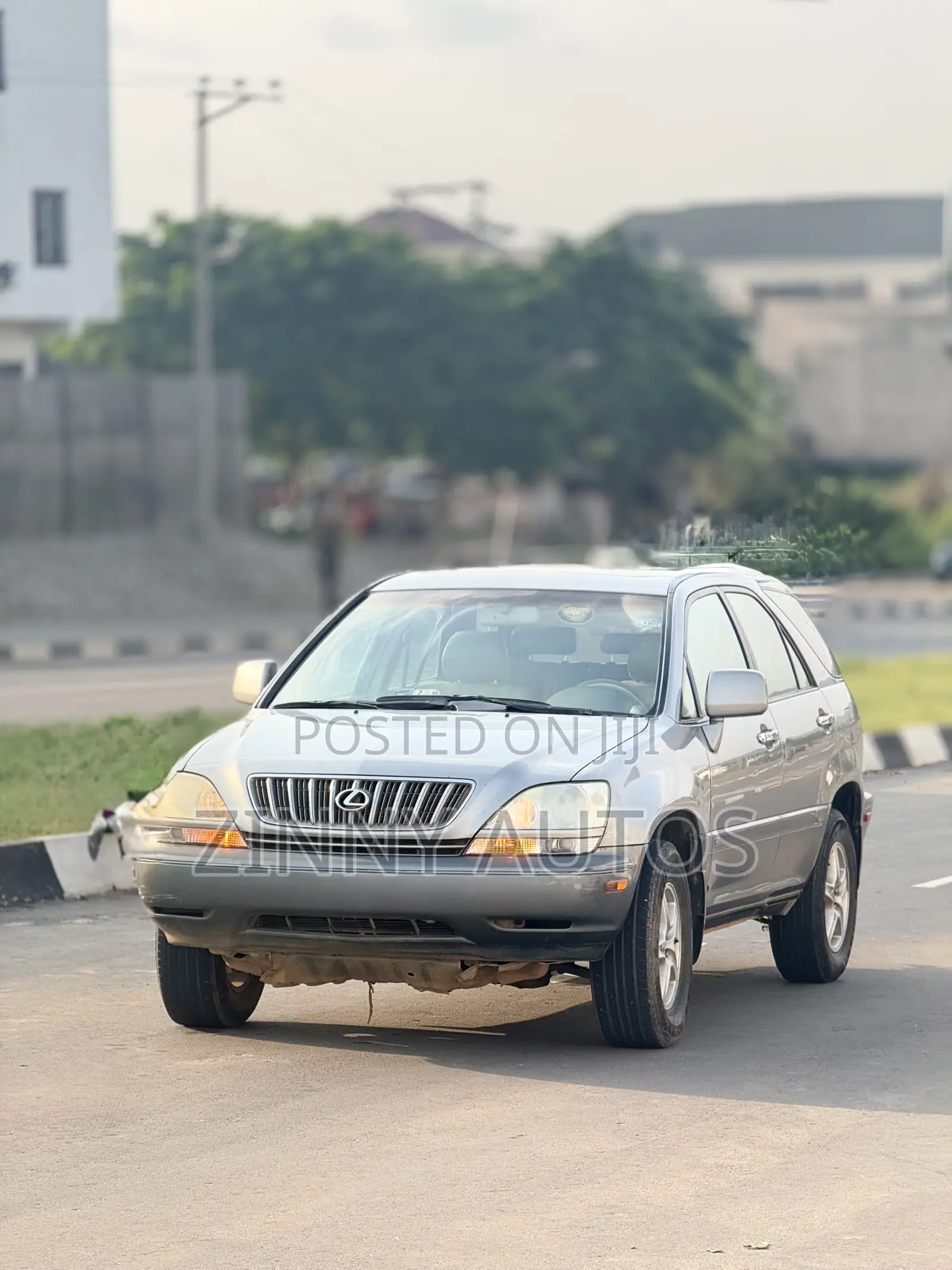 Lexus RX 2002 Gray