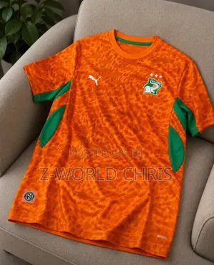 Original Quality Ivory Coast 26 World Cup Home Jersey