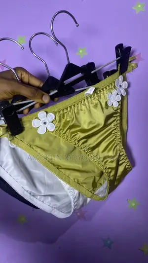 Silk Panties