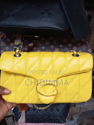 New Coach Bag With Box