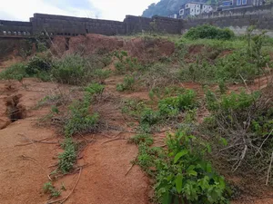 Land for Sale 650sqm
