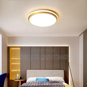 White And Warm White Led Ceiling Light