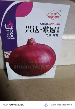 Red Onion Seed