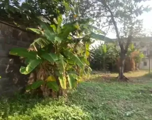 120 by 120 Fenced Table Dry Land for Sale at Deco Warri Delta State