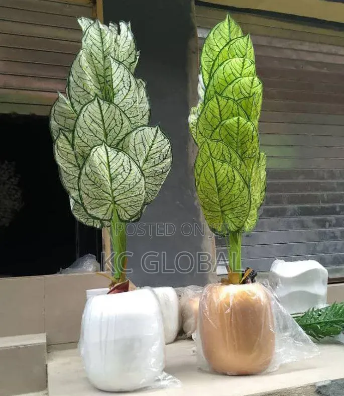 Flower and Vase Available
