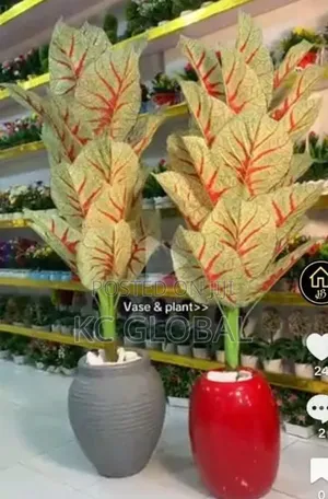 Flower and Vase Available