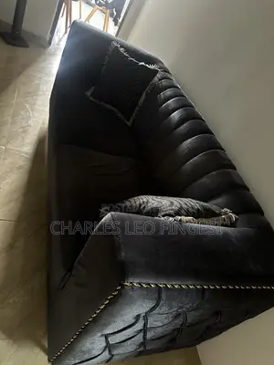 Neatly Used Sofa
