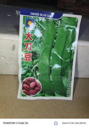 Jack Bean Seeds
