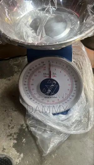 Camry Spring Scale
