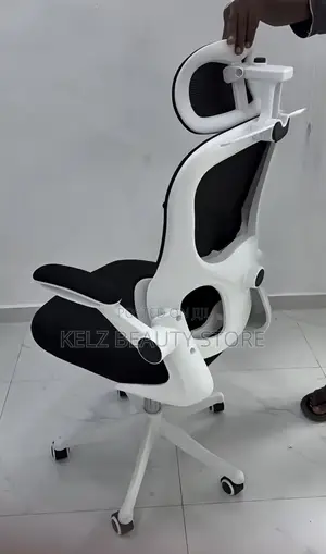 Ergonomic Office Chair
