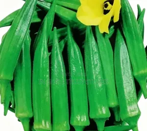 Okra Seeds