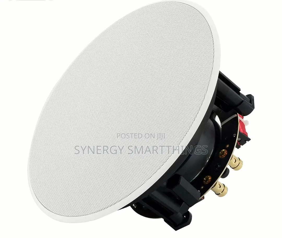 30watt Passive Ceiling Speaker