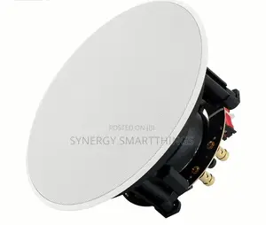 30watt Passive Ceiling Speaker