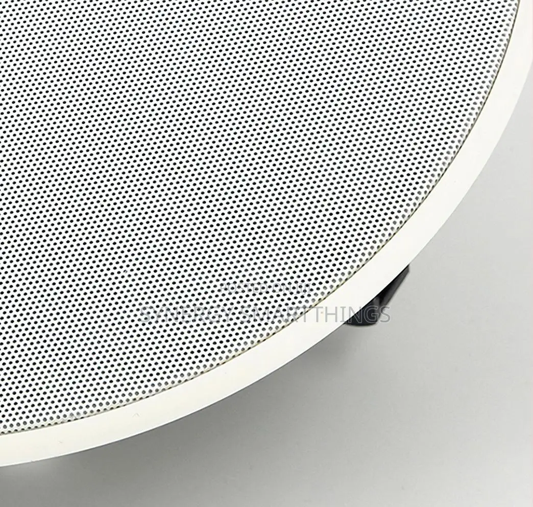 30watt Passive Ceiling Speaker