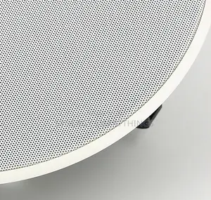 30watt Passive Ceiling Speaker