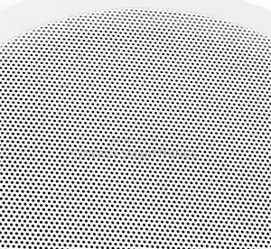30watt Passive Ceiling Speaker