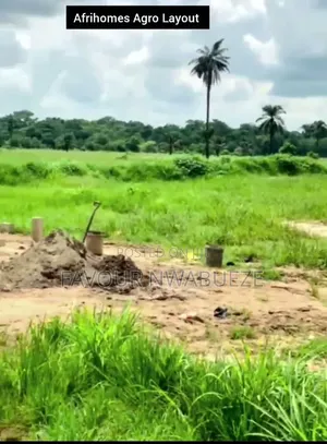 Afrihomes Vineyard Layout Phase 2 at Awba Ofemili, Awka North