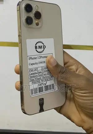 Apple iPhone 12 Pro Max 256 GB Gold