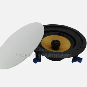 50watt Passive Ceiling Speaker