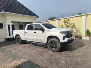 Chevrolet Silverado 2023 White