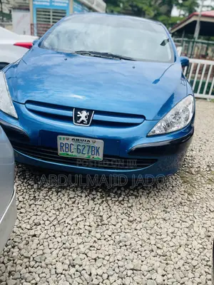 Peugeot 307 2007 Blue