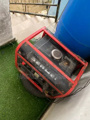 This Generator Is for Seel