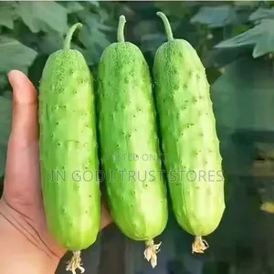 English Cucumber Seeds
