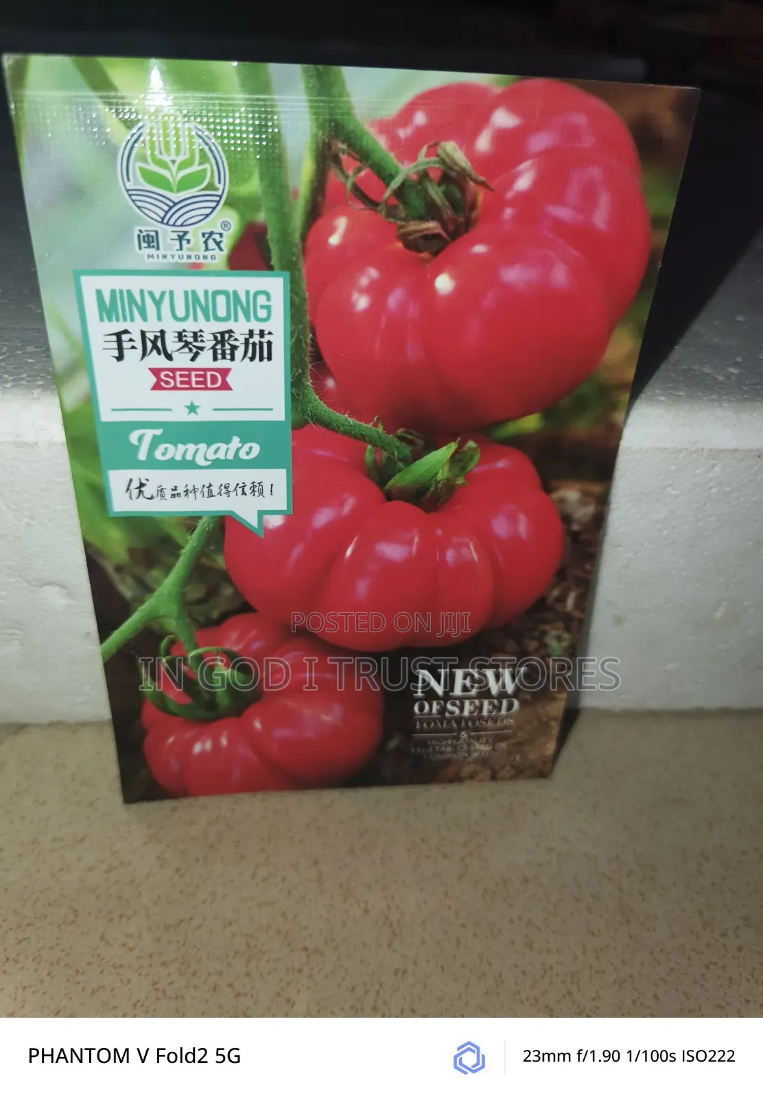 Accordion Tomato Seeds