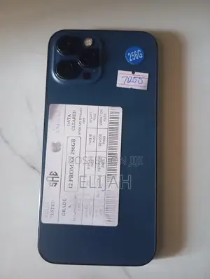 Apple iPhone 12 Pro Max 256 GB Blue