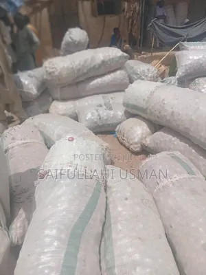 Onion Bags
